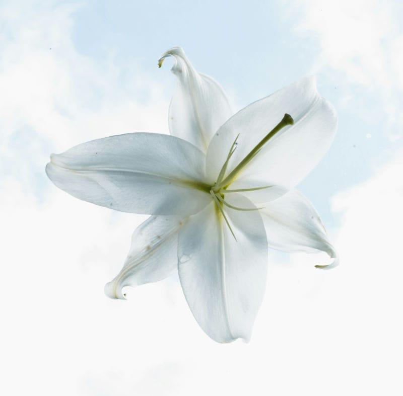 Child & Teen Support in Paarl