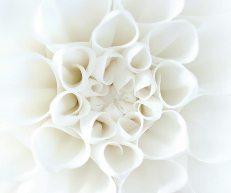 sport psychology in Paarl