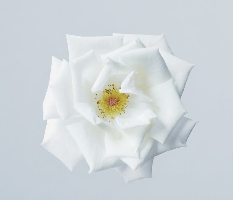 Parent Guidance in Paarl